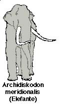 elefante2.JPG (7909 bytes)