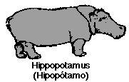 hipopotamo.GIF (2076 bytes)