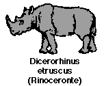 rinoceronte.GIF (2189 bytes)